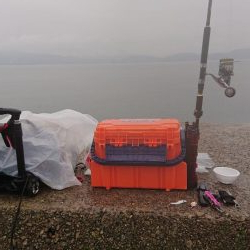 ショアジギング