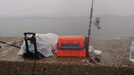 ショアジギング