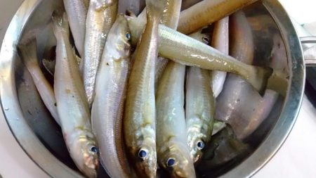 ちょい投げ　キス釣り