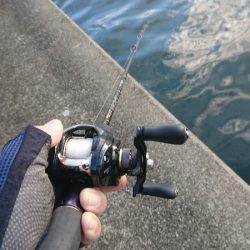 岸ジギ、ナナマル捕獲成功！