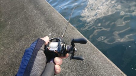 岸ジギ、ナナマル捕獲成功！