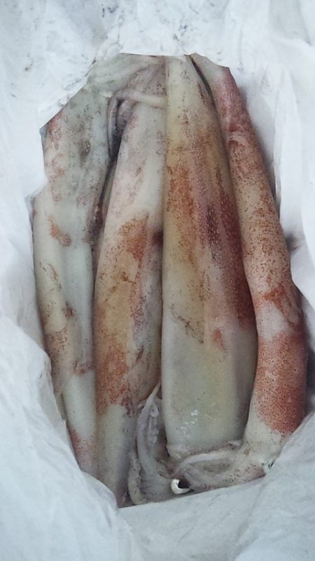 大剣とギガアジ