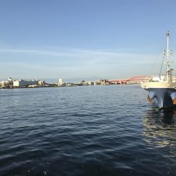 二匹目のドジョウならず