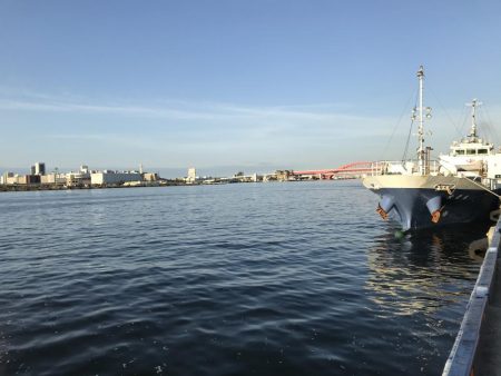 二匹目のドジョウならず