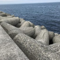 貝塚人工島穴釣り飛ばしサビキショアジギ