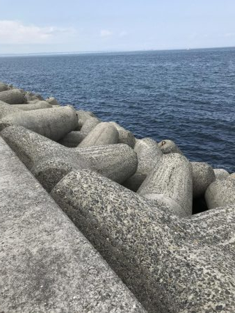 貝塚人工島穴釣り飛ばしサビキショアジギ
