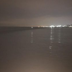 坊主逃れのアナゴ