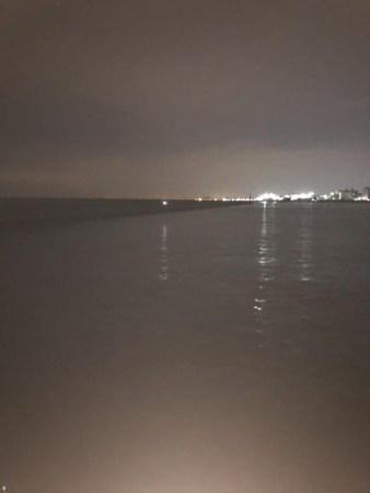 坊主逃れのアナゴ