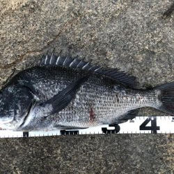 イチノ兄弟、釣果！