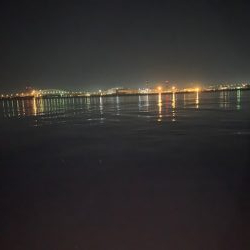 メバル１６匹　絶好調