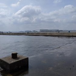 岸ジギで年無し!