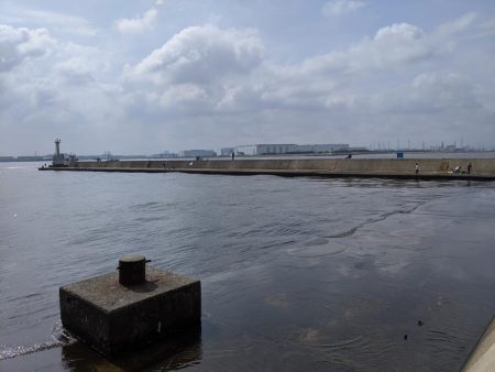 岸ジギで年無し!