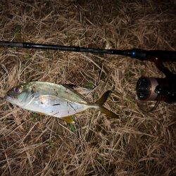 久しぶりのお出掛け