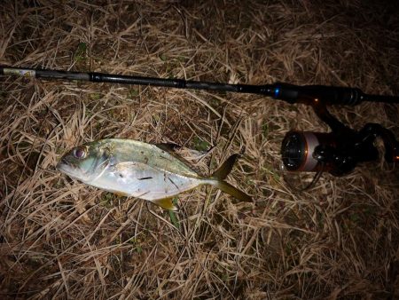 久しぶりのお出掛け