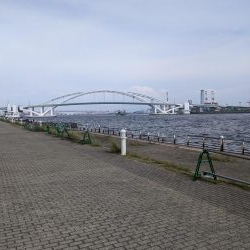 小サバ好調 ボラ多し