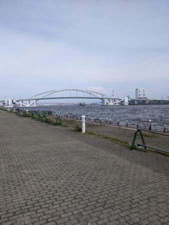 小サバ好調 ボラ多し