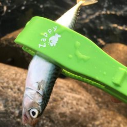 久々で楽しいっす！