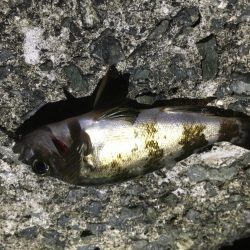 粘り強くやりました！