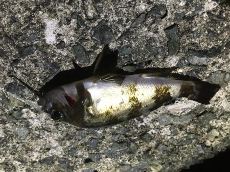 粘り強くやりました！