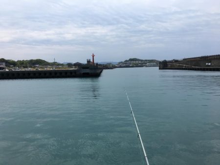 コサバ200匹、キス7匹