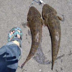 サイズアップ♪