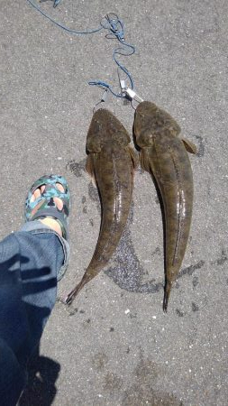 サイズアップ♪