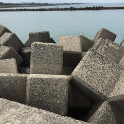 泳がせサイトシーバス