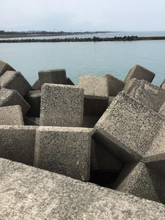 泳がせサイトシーバス