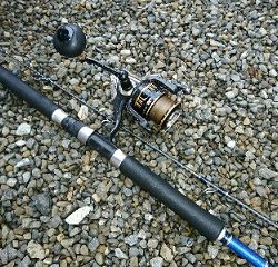 2日で7本!!青物爆釣wロケットスタートw