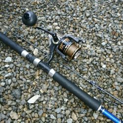 釣り自粛解禁1発目!!青物釣行w