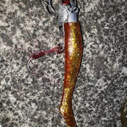 朝まずめの外道