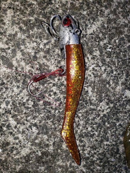 朝まずめの外道