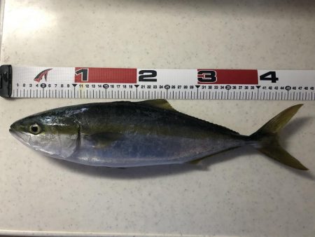 激シブでしたが