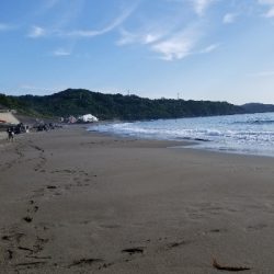 生見海岸、白浜海岸