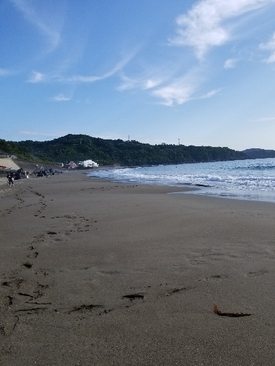 生見海岸、白浜海岸