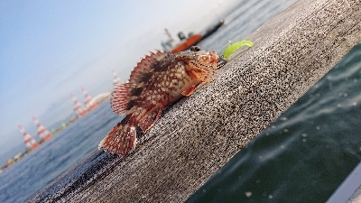 南港ガシリング