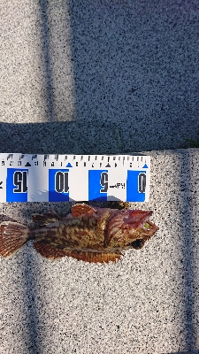 南港ガシリング