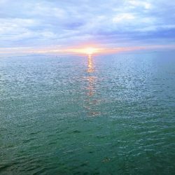 久しぶりの釣りです。