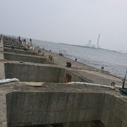 青物不発でライトゲームで休憩