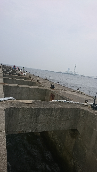 青物不発でライトゲームで休憩