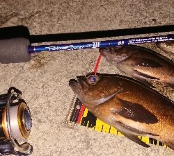 ジグ単でこのサイズは満足