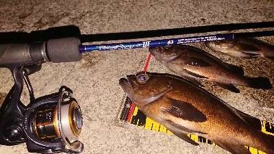 ジグ単でこのサイズは満足