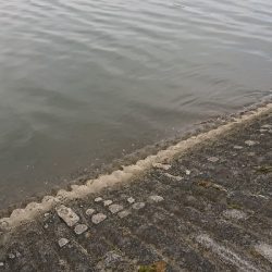 久しぶりのやつ