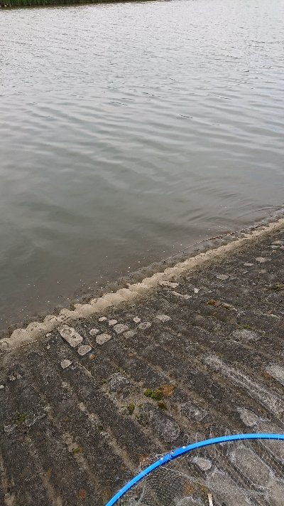 久しぶりのやつ