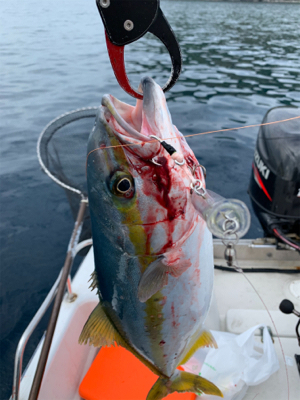 オフショアキャスティングゲーム