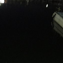 深夜 １人アジング