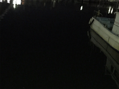 深夜 １人アジング