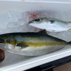 経ヶ岬沖にてジギング