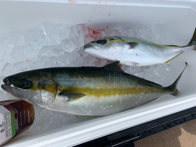 経ヶ岬沖にてジギング