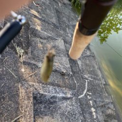 自粛継続中　海はまだ釣り物少ないし